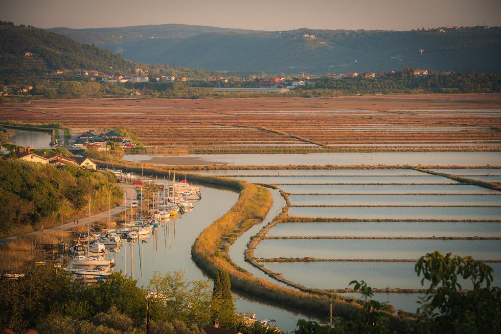 Apartma Seca Portorož Exteriér fotografie
